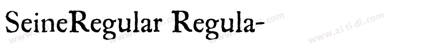 SeineRegular Regula字体转换